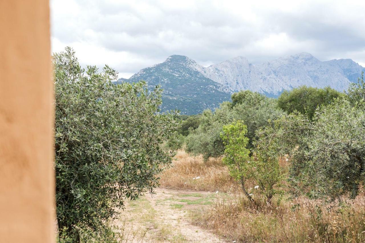 S'Ulumu Guest House Dorgali Exterior photo